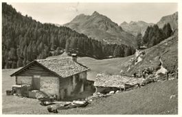 Maloja   GR  gegen Piz Lizun  (siehe Frankatur)   um 1957