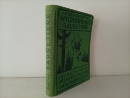 Wildlebende Säugetiere, Bieger u. Wahlström
