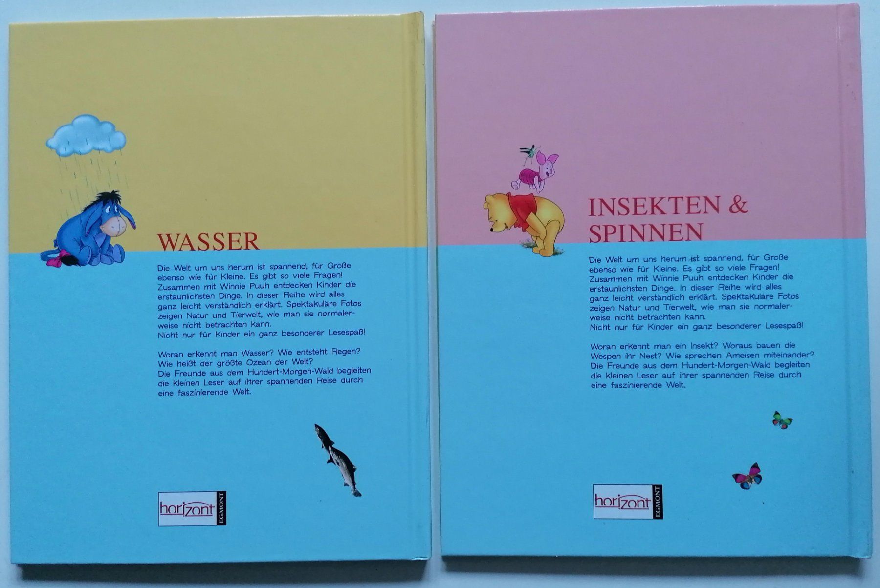 Libri: 2 x Winnie Puuh Lernbücher - Disney – Usato da Oberurnen venduto da mackrokodile 1