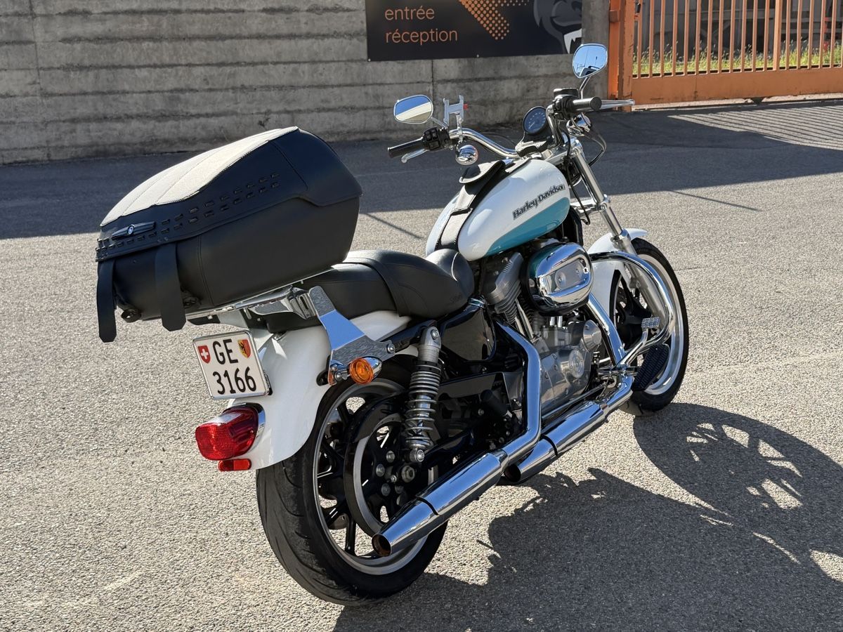 Harley-Davidson Chopper: Harley Davidson 883 2015 – Usato da Grand-Lancy venduto da Jojo6466 5