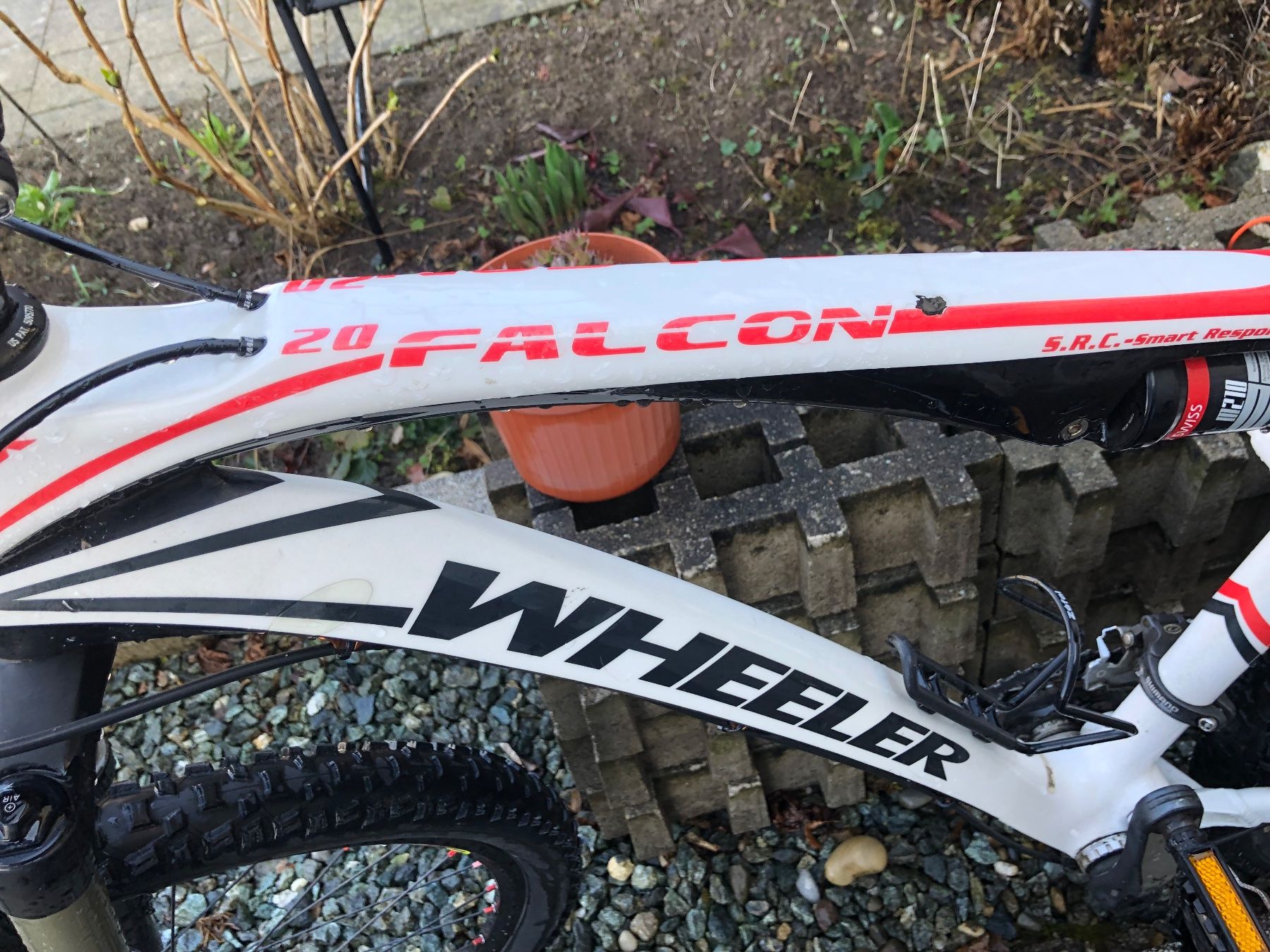 Velos: Wheeler Falcon 20 CARBON – Gebraucht aus Winterthur von Giz 1