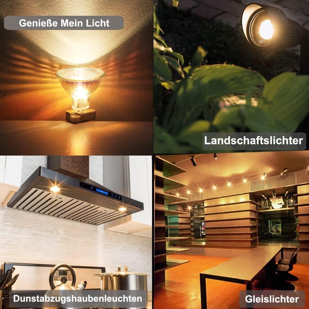 Lampade: 6 Stück MR16 Halogen Leuchtmittel mit Klarglasabdeckung – Nuovo (secondo la descrizione) da Thun venduto da coverall 5