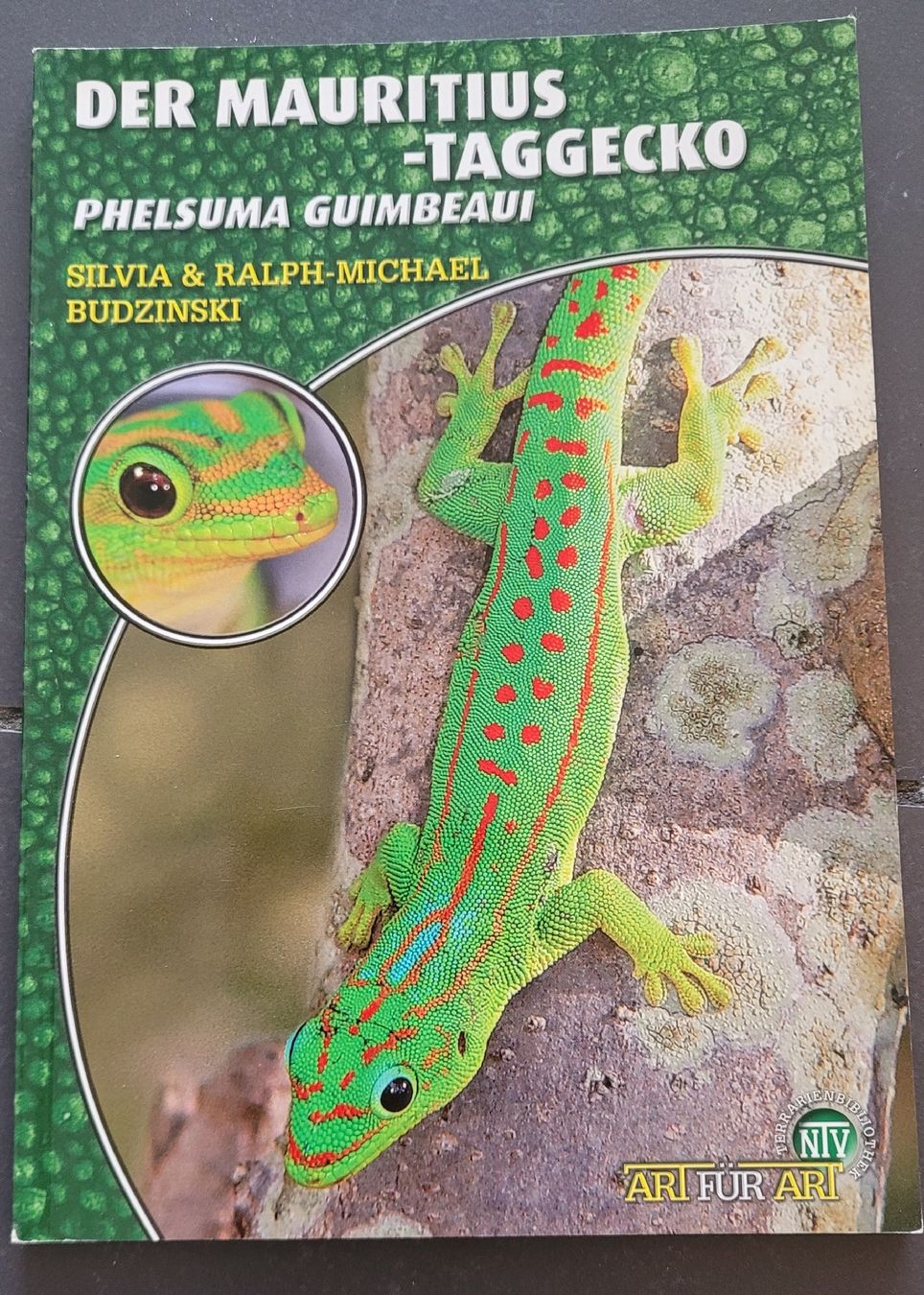 Libri: Buch Der Mauritius Taggecko  – Usato da Kappel SO venduto da Matschi86