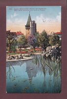 BASEL - Botanischer Garten - 1924