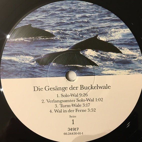 Schallplatten: Die Gesänge der Buckelwale (LP) – Gebraucht aus Grüningen von azulvinyl 2
