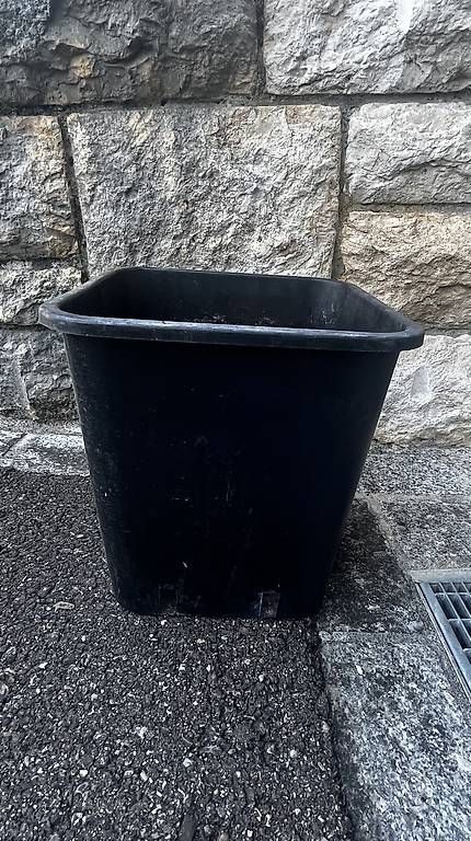 Vasi per fiori: TOP - Anzuchttöpfe  – Usato da Breitenbach venduto da aya_w5x7