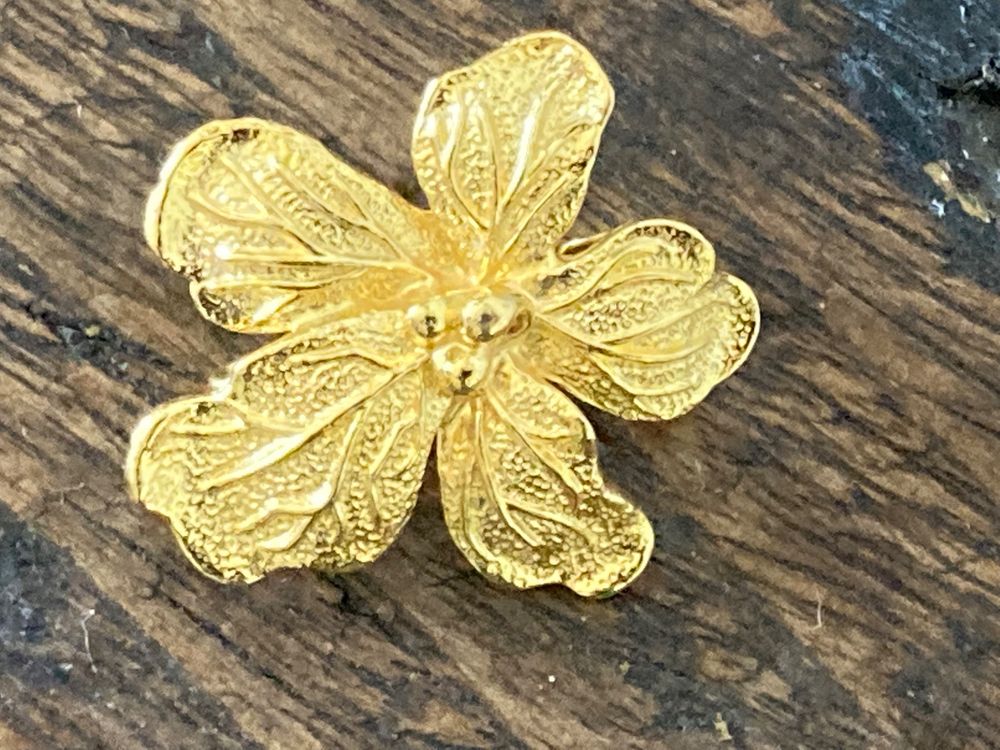 Broche Hobe Doré en Métal - 37635704