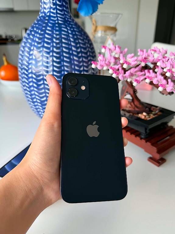 Apple Telefoni cellulari / Smartphones: iPhone 12 128 GB Schwarz/Black – Usato da Winterthur venduto da ryb_5py9 2