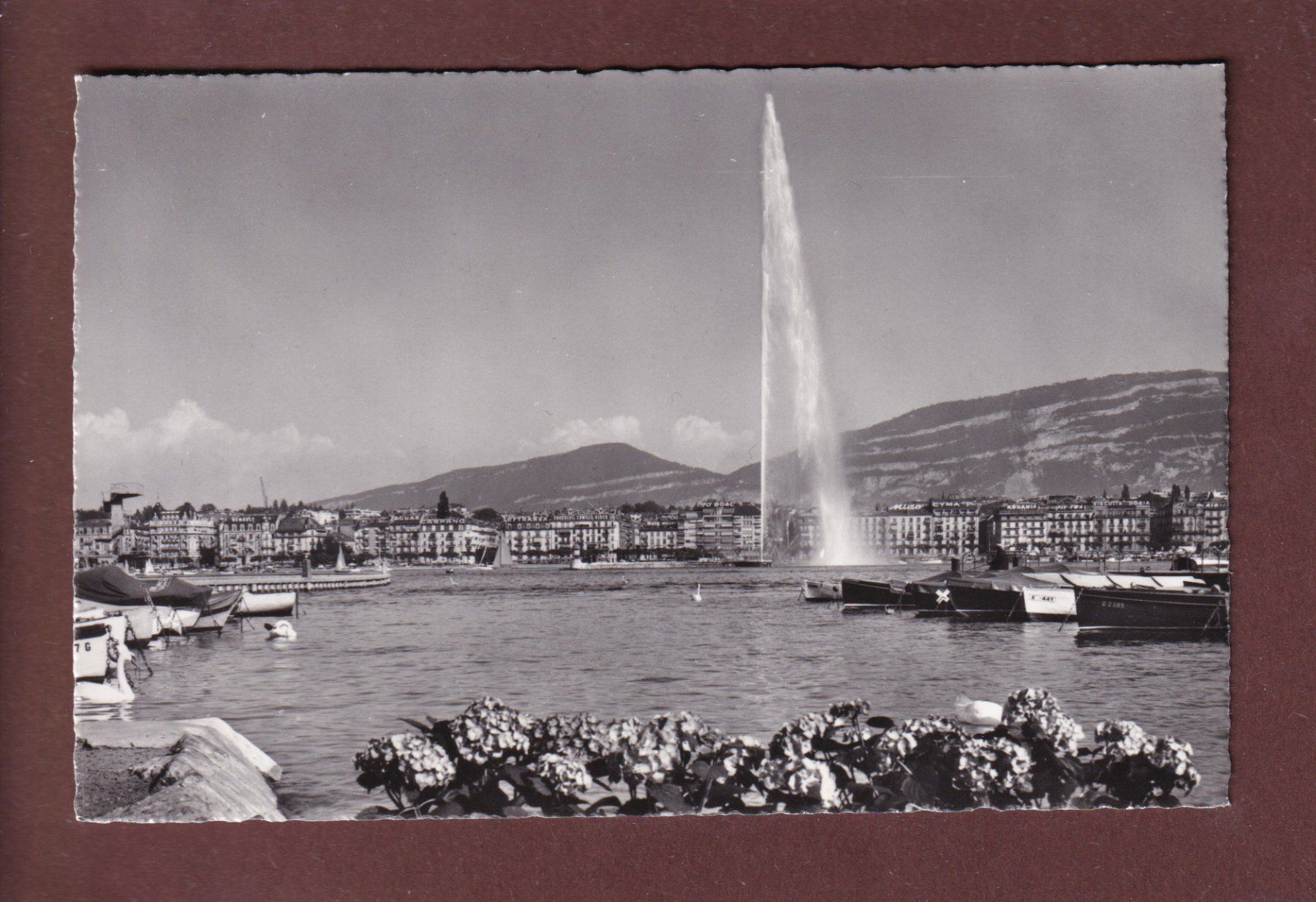 Cartoline postali: GENEVE - Jet d'eau - 1966 – Usato da Pully venduto da nicecards
