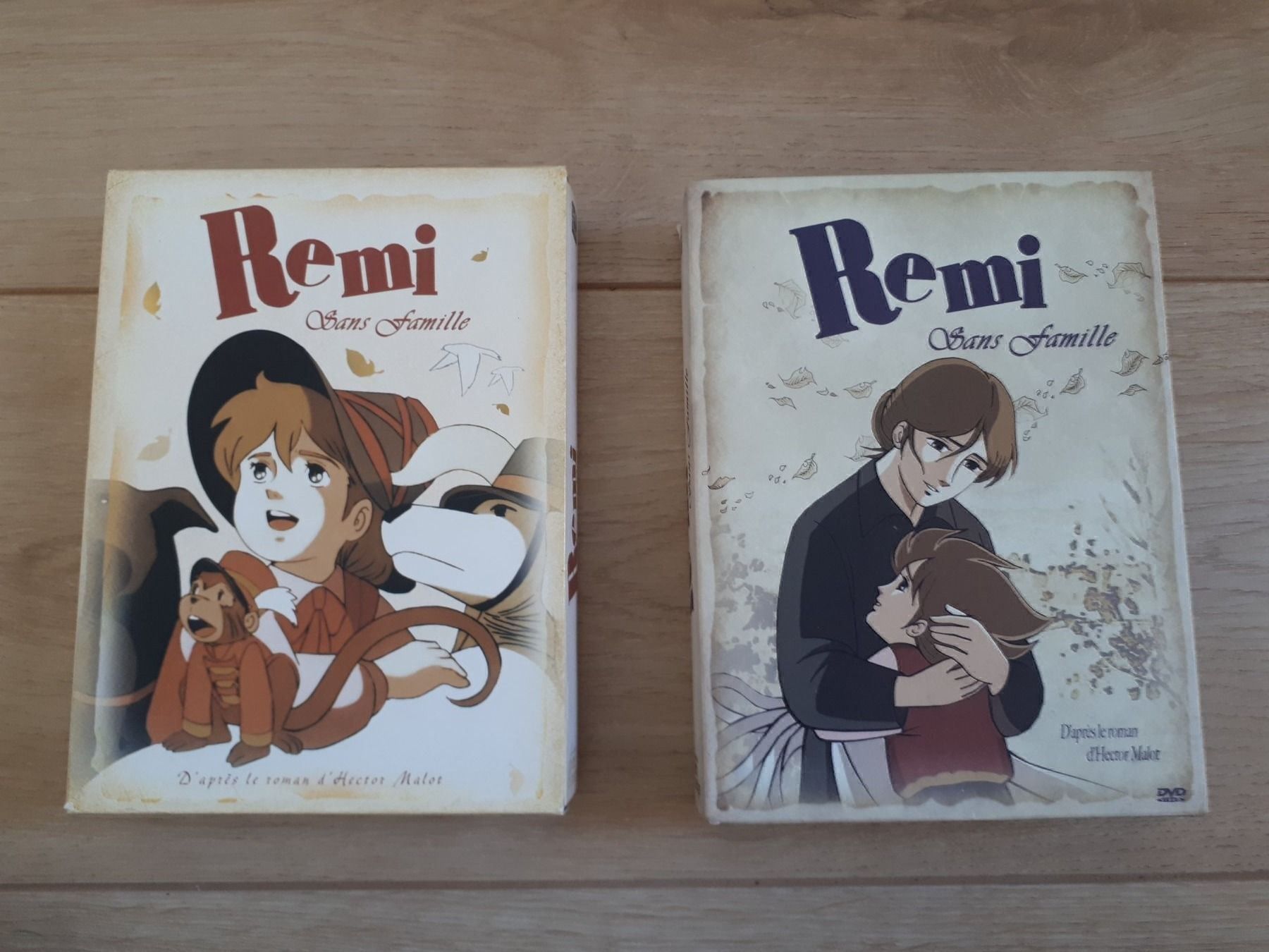 Tutti i DVDs: Rémi sans famille les 2 coffrets prestig – Nuovo (secondo la descrizione) da Ferlens VD venduto da sunshine321