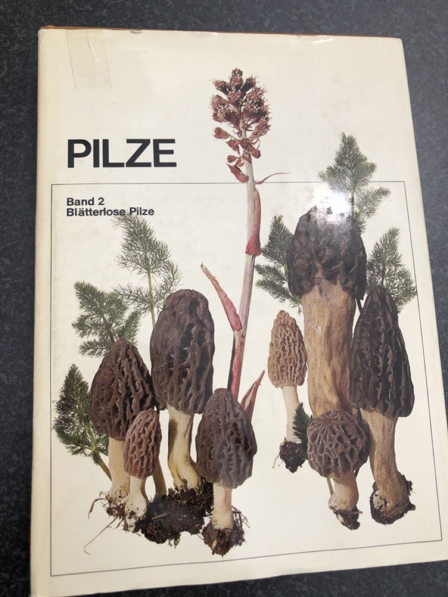 Libri: Pilze Buch Band 2 – Usato da Effretikon venduto da erbaeff