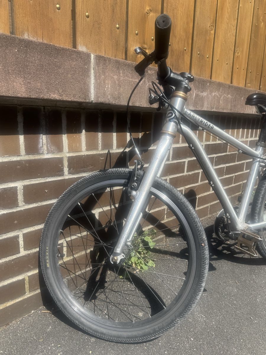 Early Rider Biciclette: Early Rider Belter 20 Zoll – Usato da Horgen venduto da JekerZurich 1