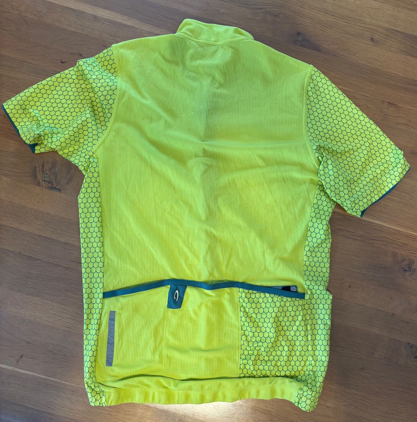 Canottiere & Pantaloni: Isadore Climber´s Jersey Vrsic – Usato da Thalwil venduto da Swisshoneys 3