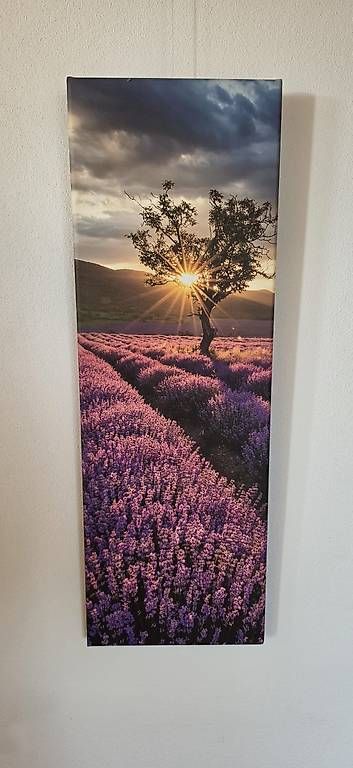Poster & Bilder: Wandbild – Gebraucht aus Spiez von Podex