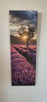 Wandbild