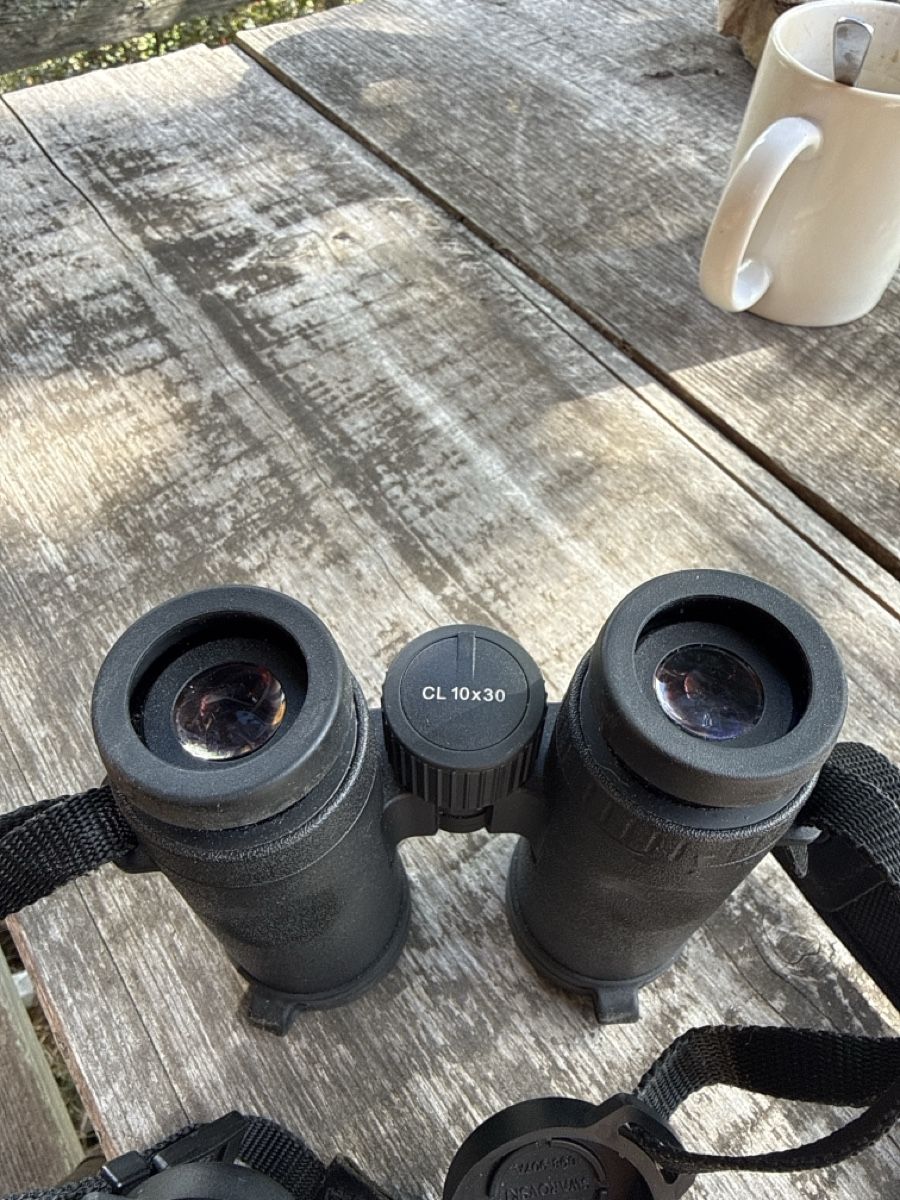 Swarovski Optik Feldstecher: Swarovski CL 10x32 – Gebraucht aus Schüpfen von Curon4 3
