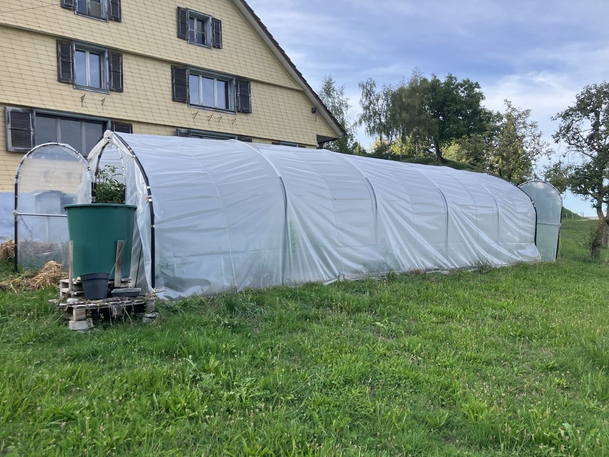 Gartenhäuser & Gewächshäuser: Gewächshaus Tunnel – Gebraucht aus Menznau von Dandyn