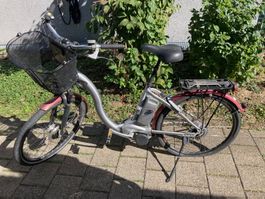 E-Bike Flyer Premium C6/S poliert/d silber gebraucht