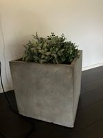Beton Topf mit künstlichen Pflanzen