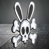 🦴Einzigartiger Touch: 3D Sticker Style für Auto & Zuhause☠️