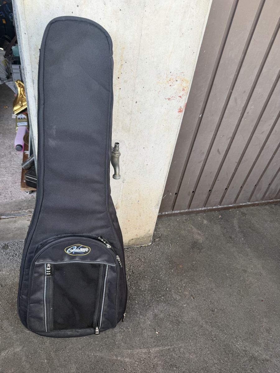 Strumenti musicali: Gitarre  – Usato da Baden venduto da noli.r 7