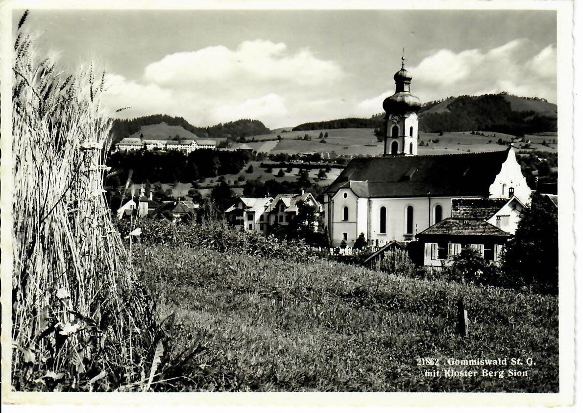 Cartes postales: Gommiswald – D'occasion à Hochdorf par Ziegel-16