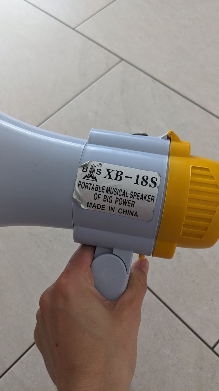 Casse acustiche: Megaphone – Usato da Wetzikon ZH venduto da V_SENN 3
