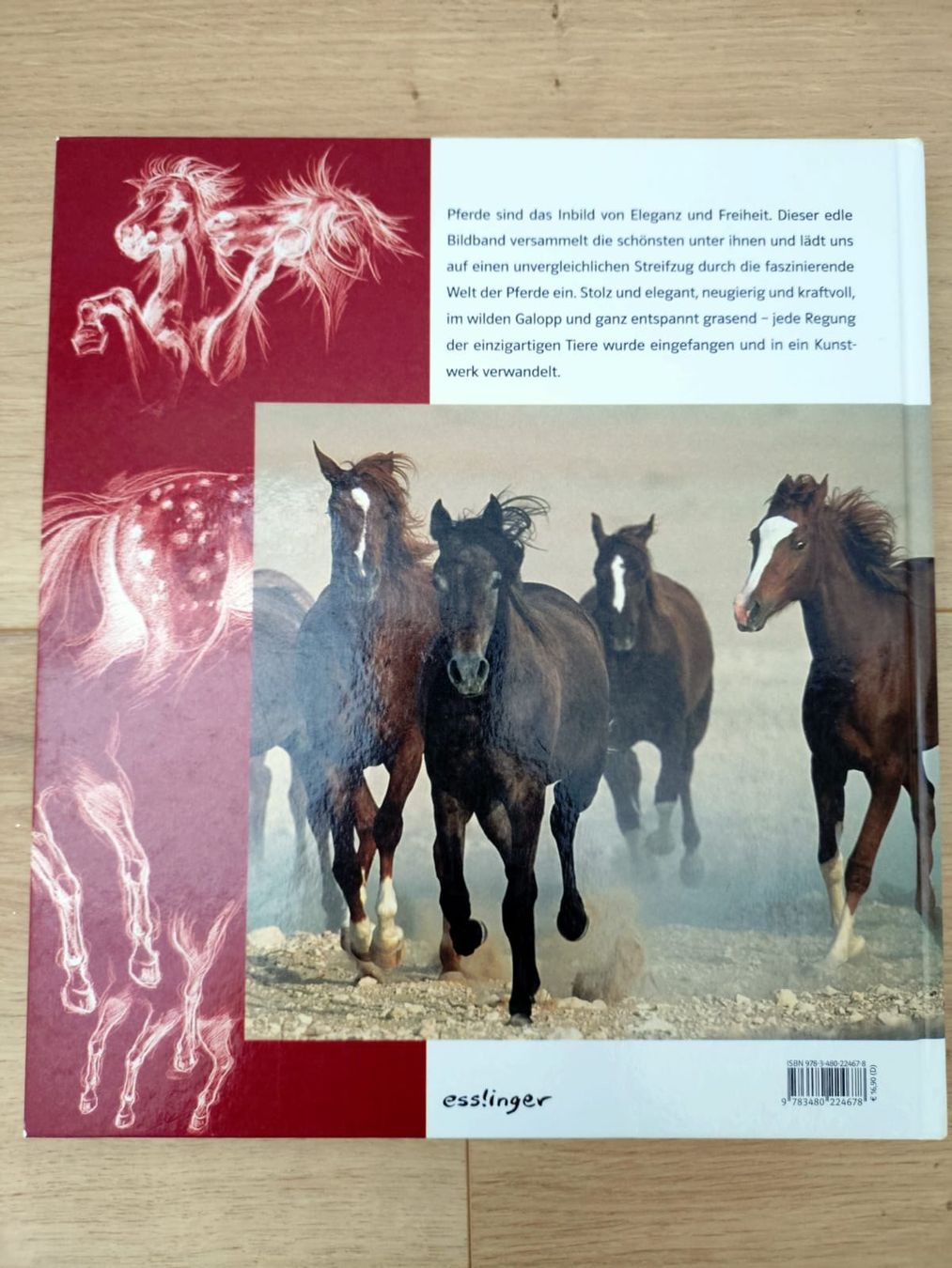 Libri: Buch Faszination Pferde – Usato da Tobel venduto da len_n2sn 1