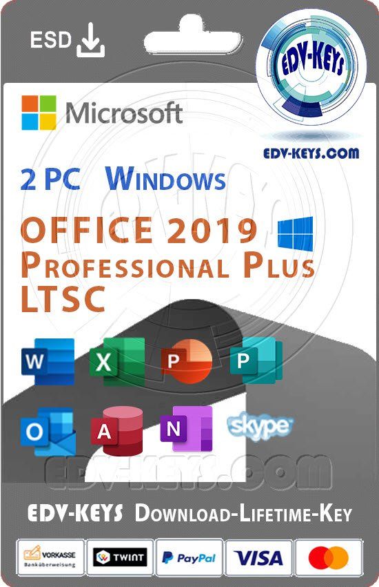 Microsoft Software: Microsoft Office 2019 Professional Plus 2 PC Lifetime – Usato da Langenthal venduto da Reda
