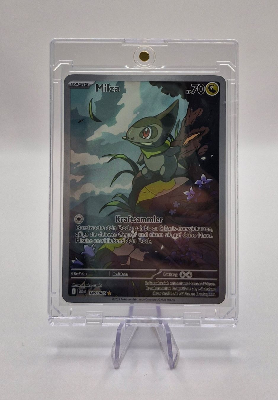 Pokémon Carte collezionabili: Milza / Axew / Schwarze Blitze / BLK 145 – Nuovo (secondo la descrizione) da Arni AG venduto da PokemonCardsStore 2