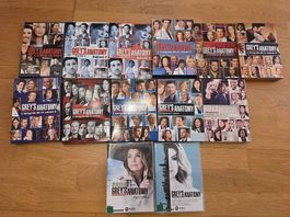 Greys Anatomy  12 saisons en DVD 