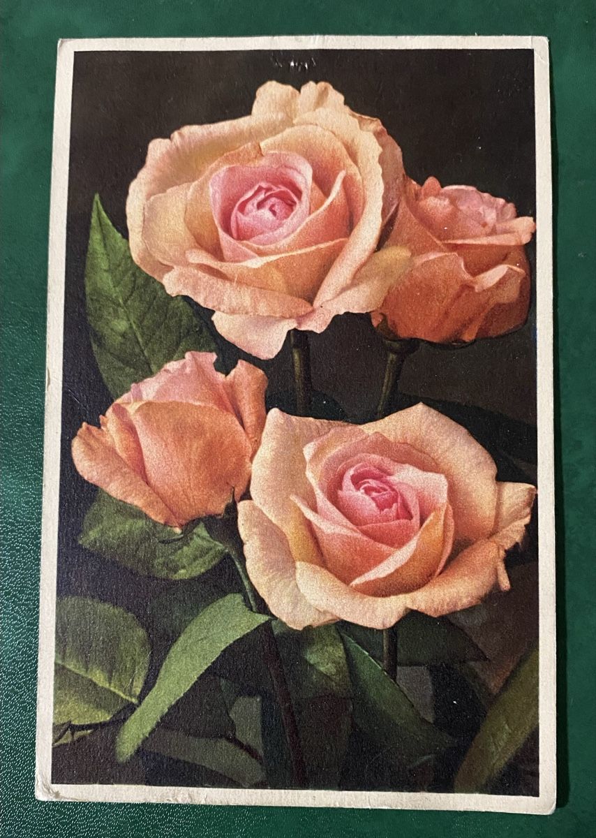 Ansichtskarten: Cartes à motifs divers – Gebraucht aus Petit-Lancy von Solcarm 6
