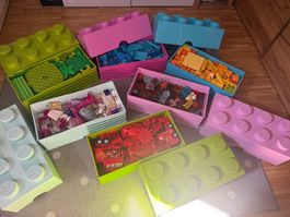 Großes LEGO DUPLO Set mit 10 Boxen & Platte