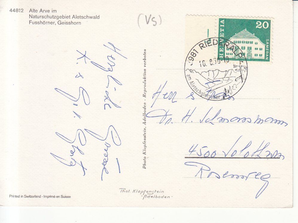Cartoline postali: Aletschwald 1970 – Usato da Bürglen TG venduto da StampGraf 1