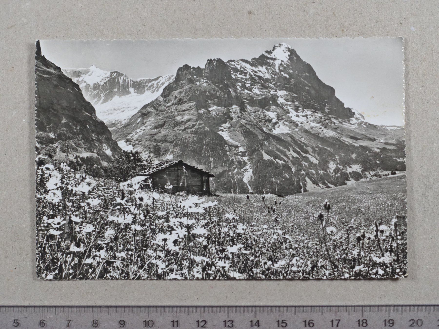 Cartes postales: Grindelwald, 1956 – D'occasion à Lenzburg par fh1