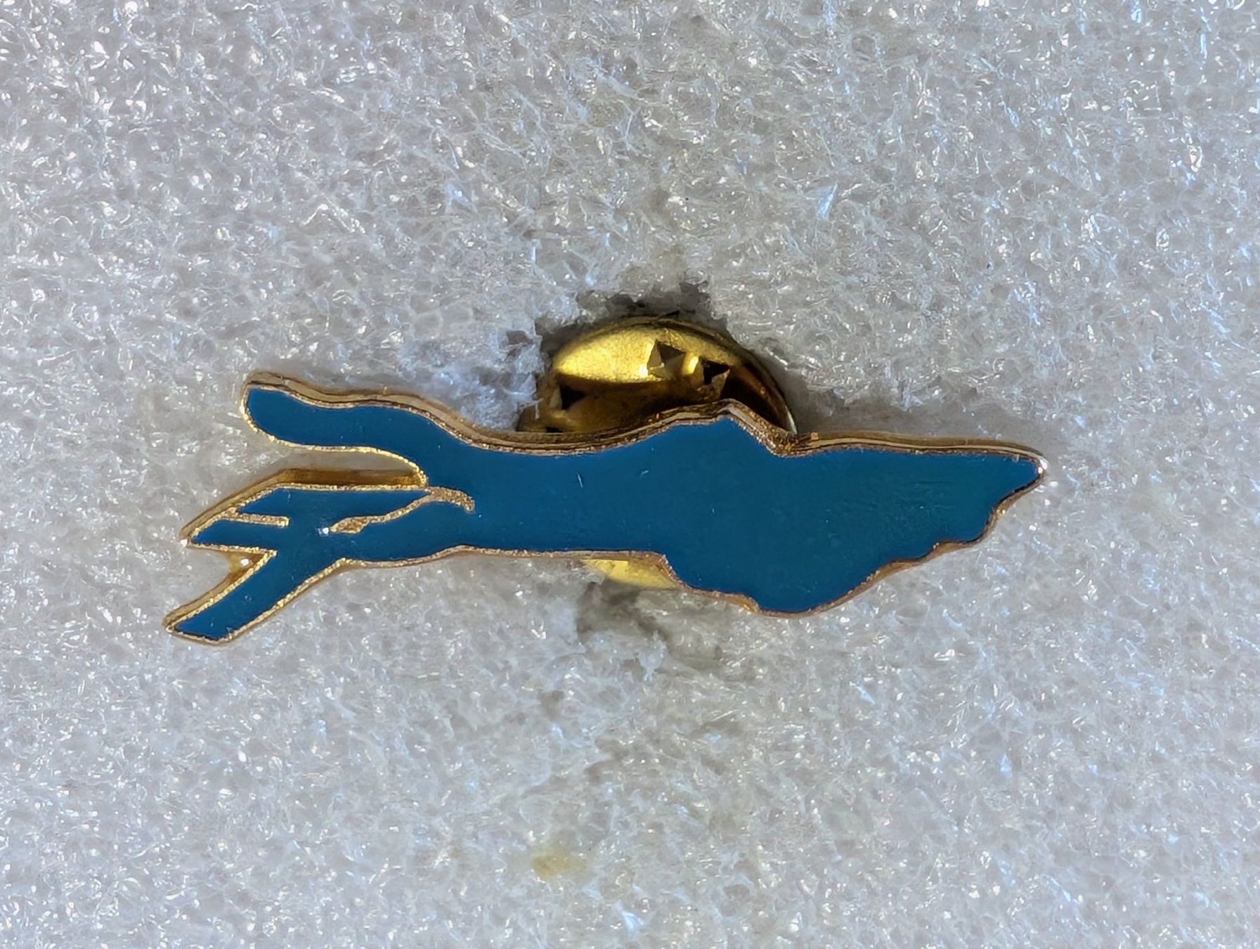 Placchette & Badge: Ansteckpin 188: Bodensee – Usato da Oppligen venduto da Pin-Fall-Shop