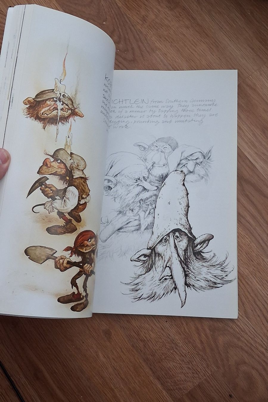 Livres: Fantasy-Kunstbuch "Faeries - Anniversary Edition (2002)" – D'occasion à Kloten par Frigo_1 5