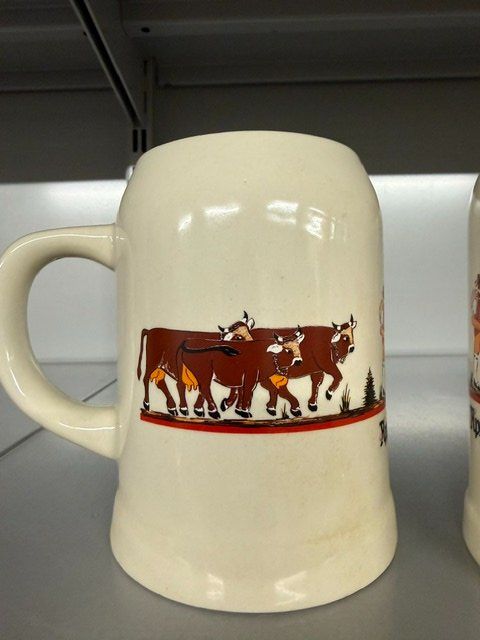Bicchieri: Steinzeug Bierhumpen Appenzeller Bier – Usato da Lenggenwil venduto da Reto888 2