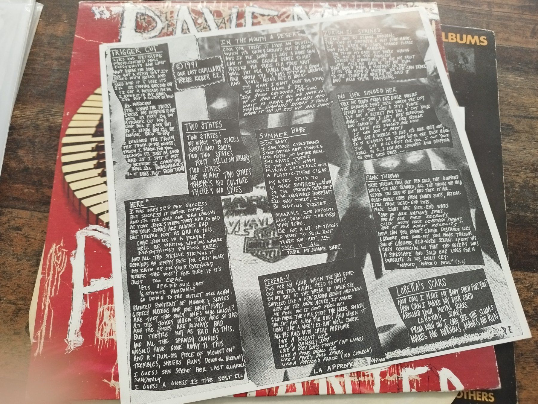 Dischi in vinile: Pavement Slanted & Enchanted Vinyl, RAR! – Usato da Lupfig venduto da fred-feuerstein 4
