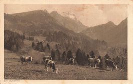 Les Diablerets (VD) – Alpenweide mit Kühen