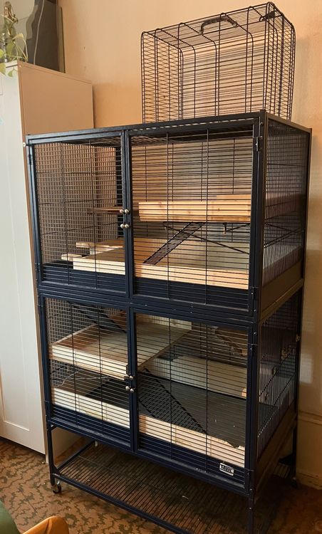 Cage pour rongeur Savic Royale 95 bleue (D'occasion) à La Chaux-de ...