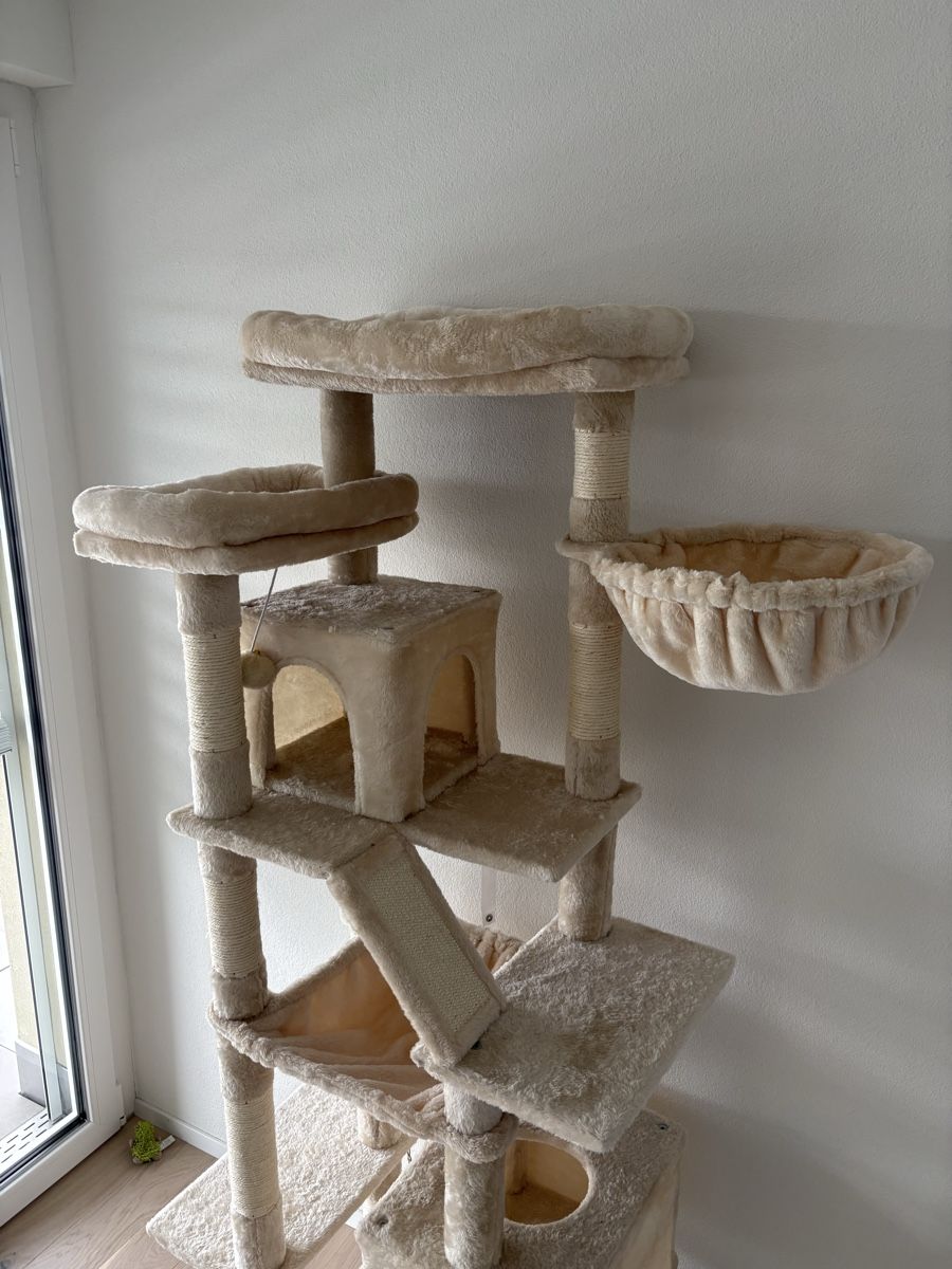 Tiragraffi: Kratzbaum Katzen 180cm beige – Nuovo (secondo la descrizione) da Lömmenschwil venduto da tmr_xx 2