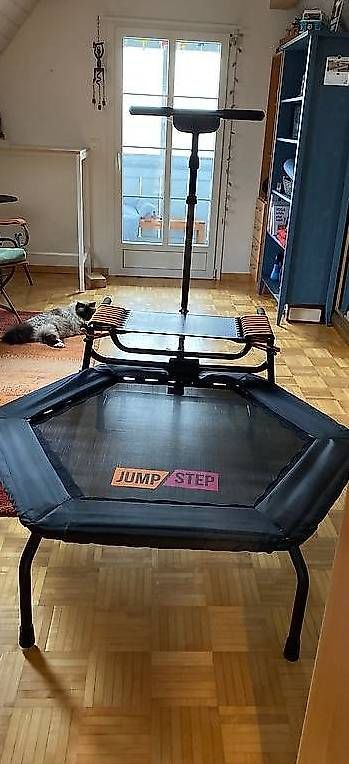 Trampolini: Minitrampolin JumpStep Hammer – Usato da Koppigen venduto da Leodimi 2