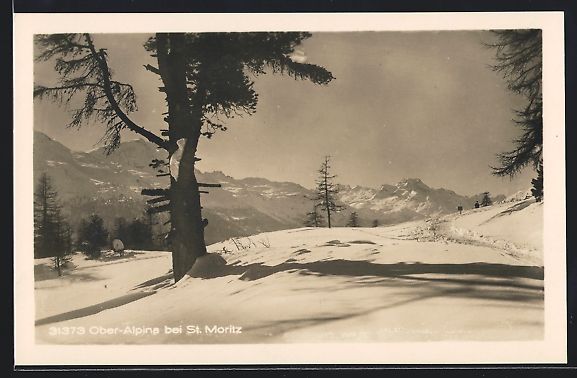 Ansichtskarten: Ober-Alpina bei St. Moritz, Panorama mit – Gebraucht aus Berlin von bartko-reher