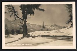 Ober-Alpina bei St. Moritz, Panorama mit