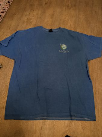 T-Shirt Urban Outfitters blau Grösse L guter Zustand