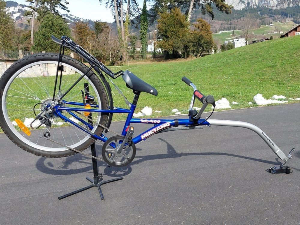 Biciclette: Schattenvelo, Kinder-Tamdem, Velo-Trailer – Usato da Brunnen venduto da PatrickAndrea 1