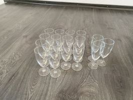 17 Champagner Gläser 1dl