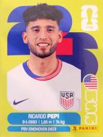 Panini FIFA World Cup USA 18