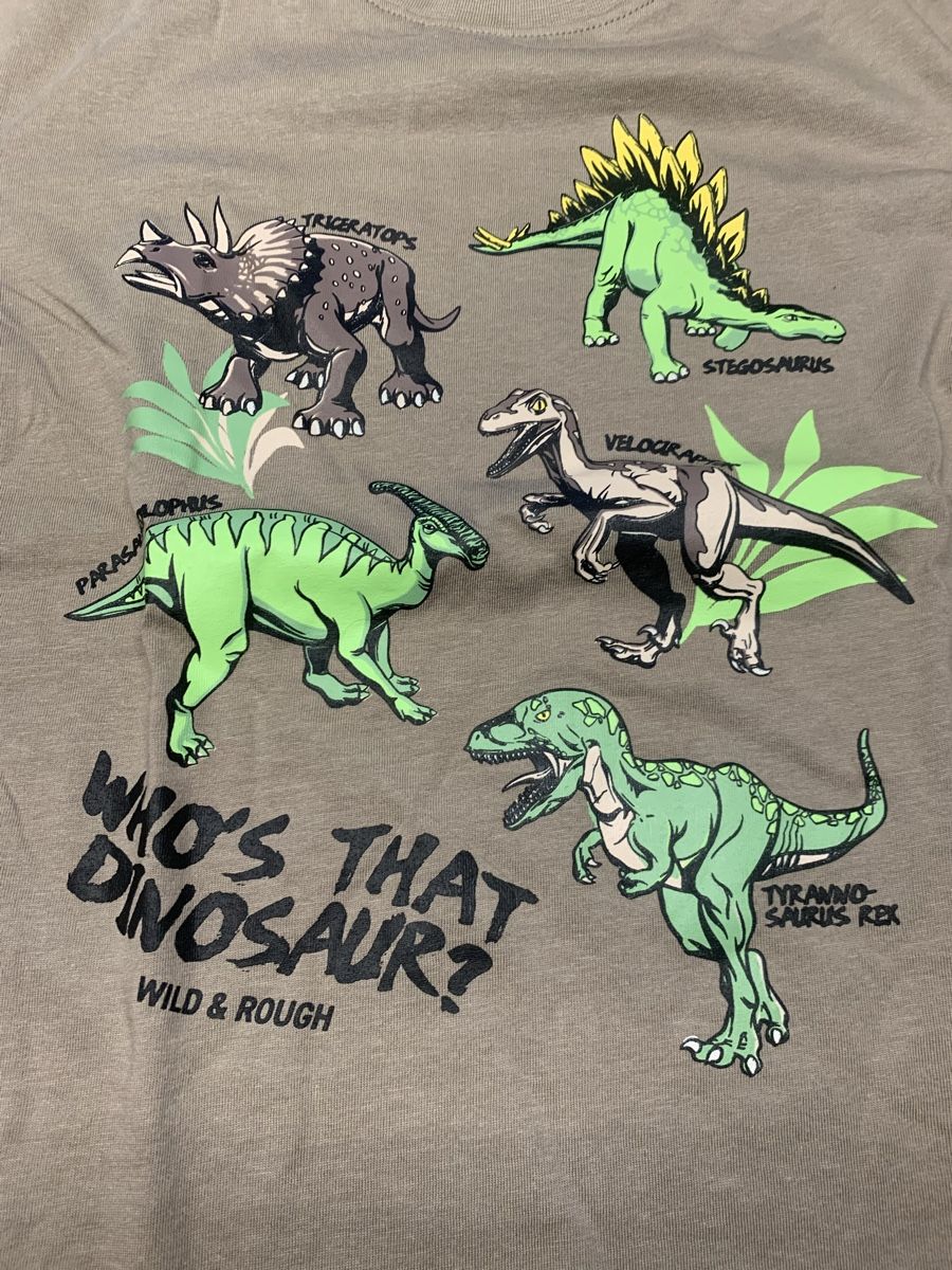 Camicie, T-shirt & Polo: T-Shirt Dinos, Gr. 134/140 – Usato da Buus venduto da 2013dp 1